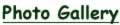 Staff Title 